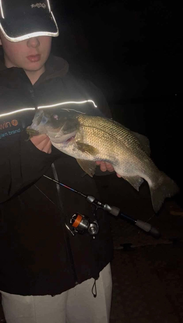Curdies River Perch