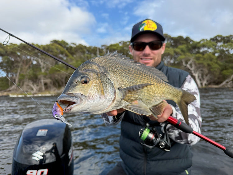 Our Top 5 Lures for 10 Aussie Fish