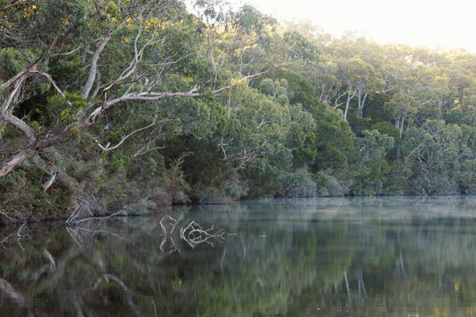 Glenelg River Fishing Guide