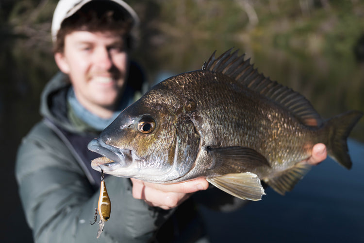 Hopkins River Fishing Guide