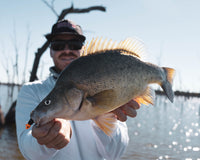 Rocklands Fishing Guide