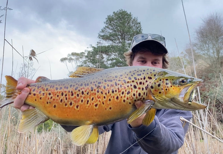 Trout Fishing the Rivers Around Warrnambool