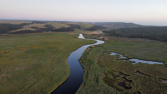 Princetown Fishing Guide