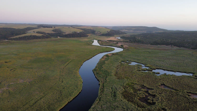 Princetown Fishing Guide