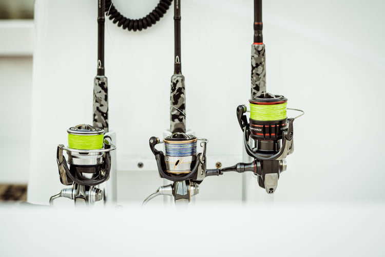 Reels