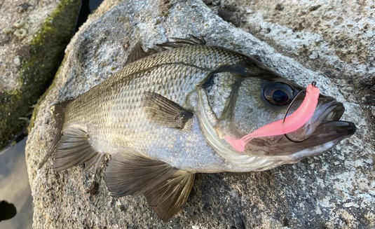Lure Hooks