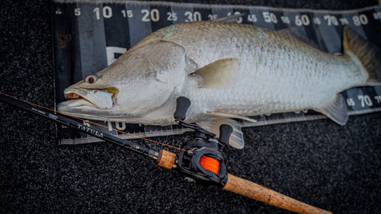 Baitcast Rods