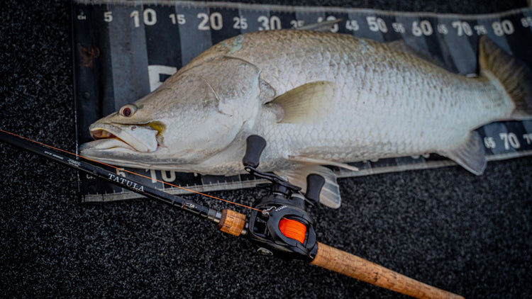 Baitcast Rods