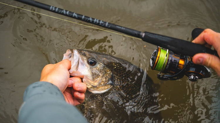 Spinning Rods