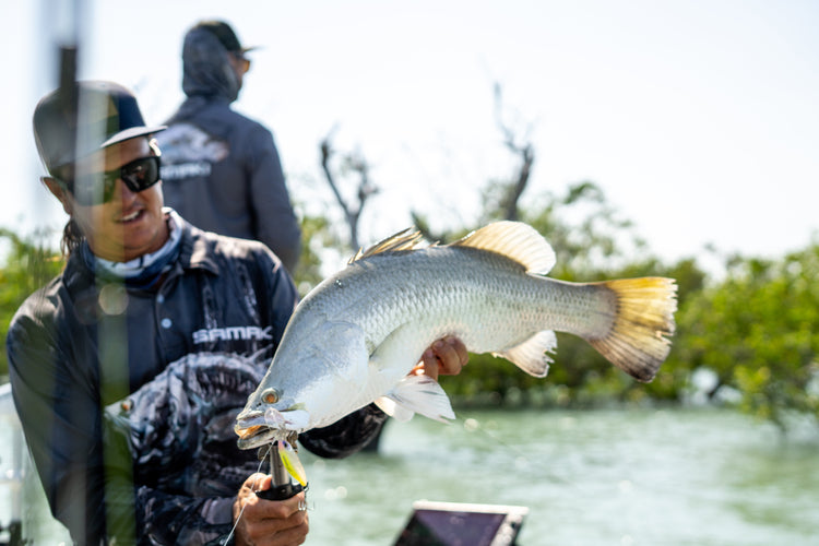 Barramundi Products