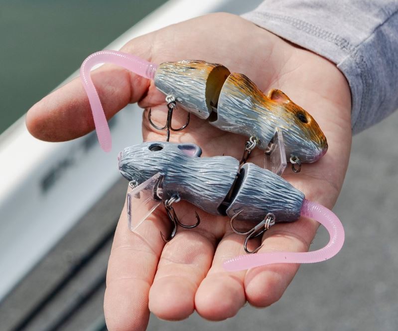 Load image into Gallery viewer, Bucca Baby Bull Rat 3.5" Field Mouse
