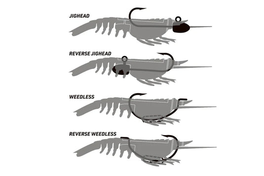 Nomad Live Ops Switcher Shrimp 2.3" - 6 Pack