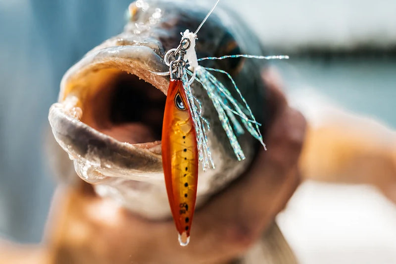 Load image into Gallery viewer, Nomad Buffalo JR Jig
