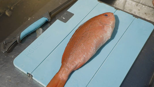 Toadfish XL Folding Cutting Board