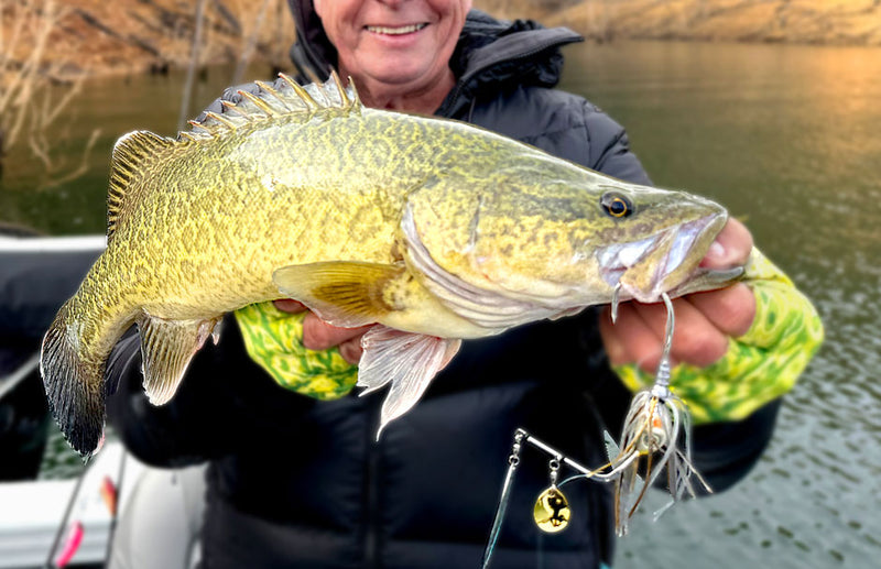 Load image into Gallery viewer, Seapro DFX Crowbar Spinnerbait - 20g
