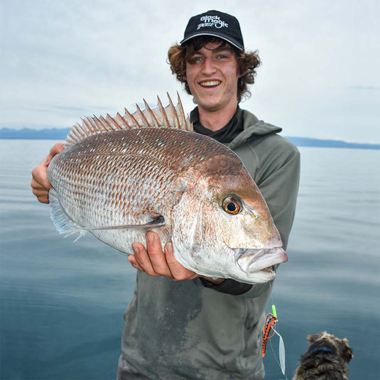 Black Magic Snapper Snack