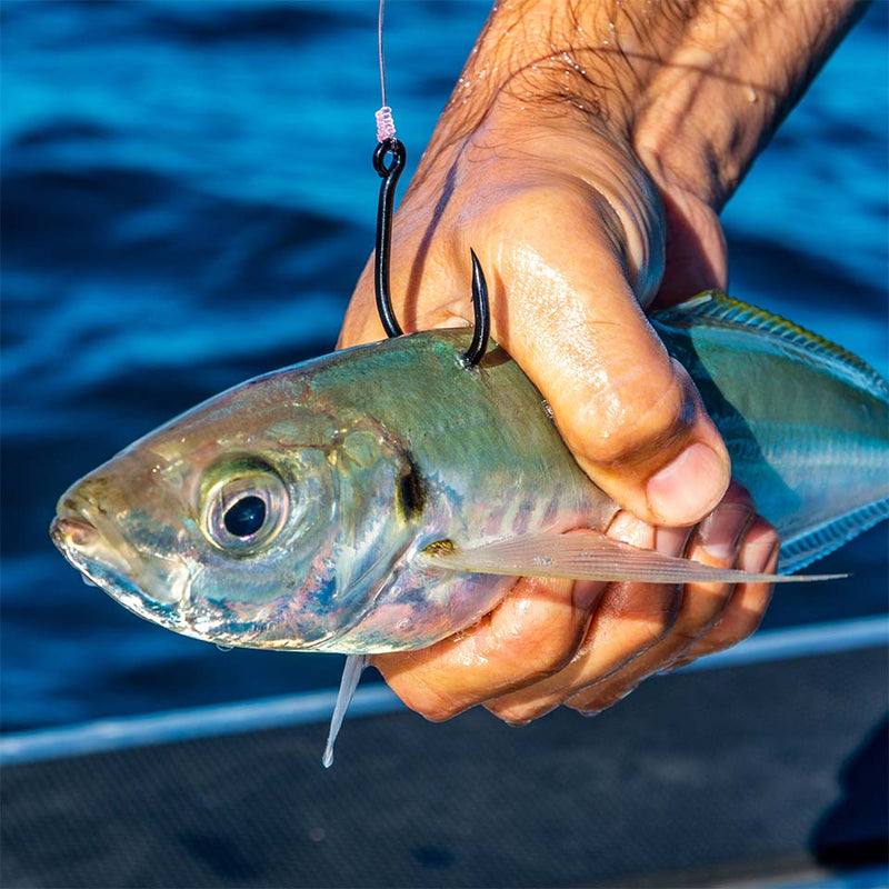 Load image into Gallery viewer, Black Magic GZ Live Bait Hook
