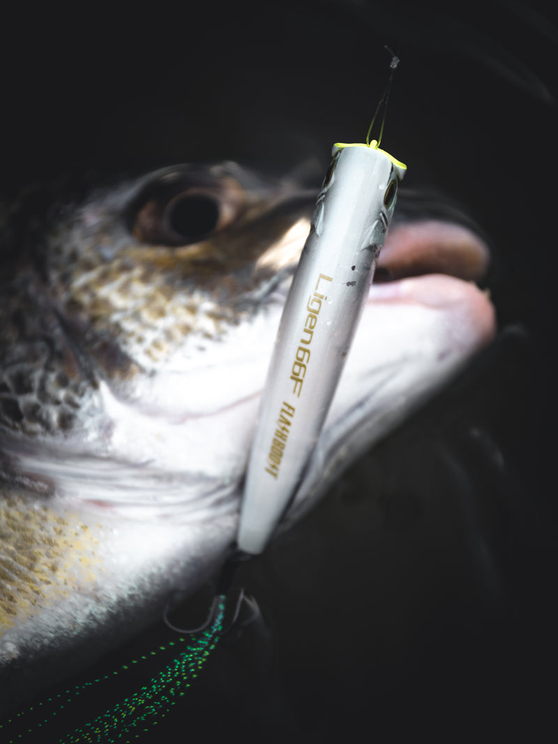 Load image into Gallery viewer, Shimano Ligen Flash Boost
