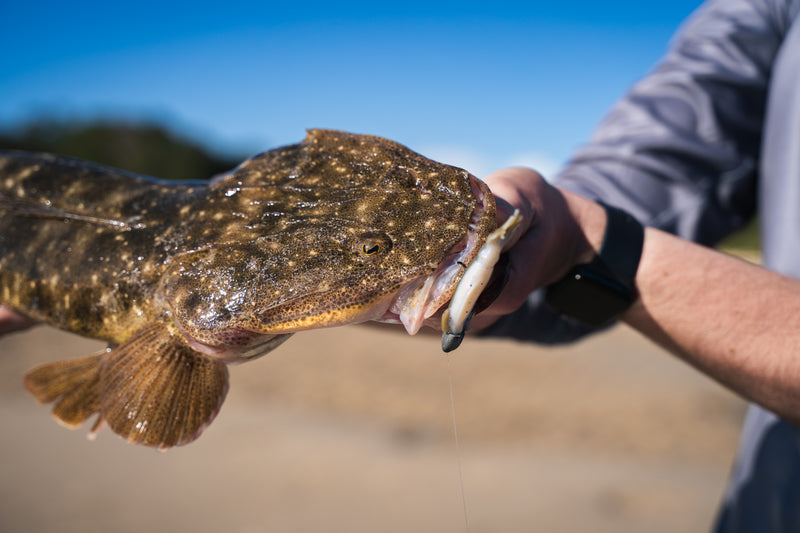 Load image into Gallery viewer, Berkley Gulp Squid 3"
