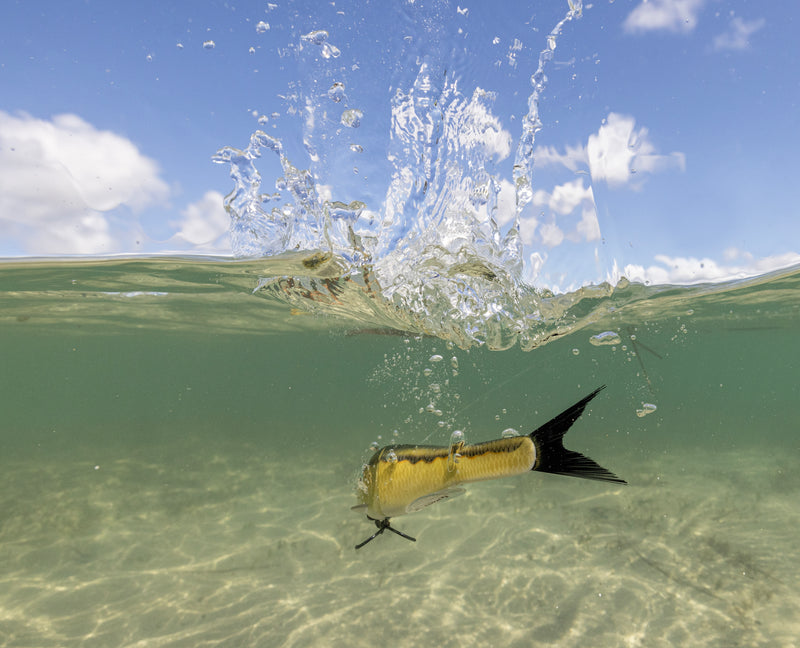 Load image into Gallery viewer, Berkley Powerbait Nessie 5"
