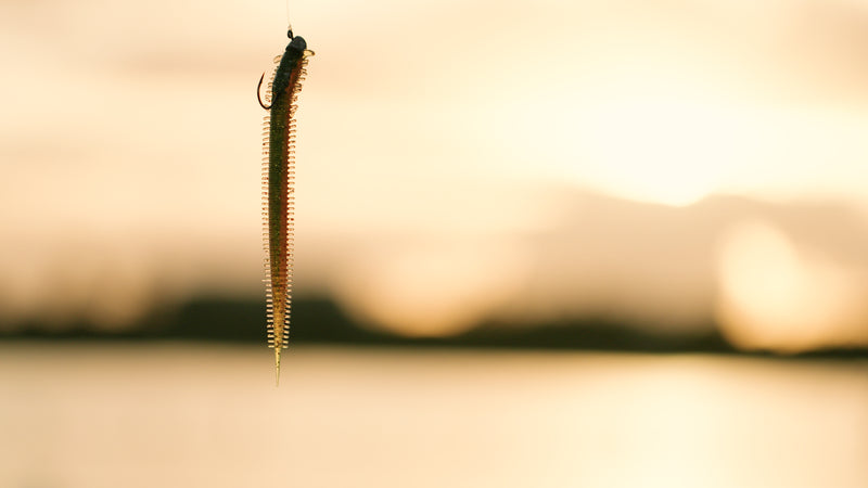 Load image into Gallery viewer, Berkley Powerbait Sandworm
