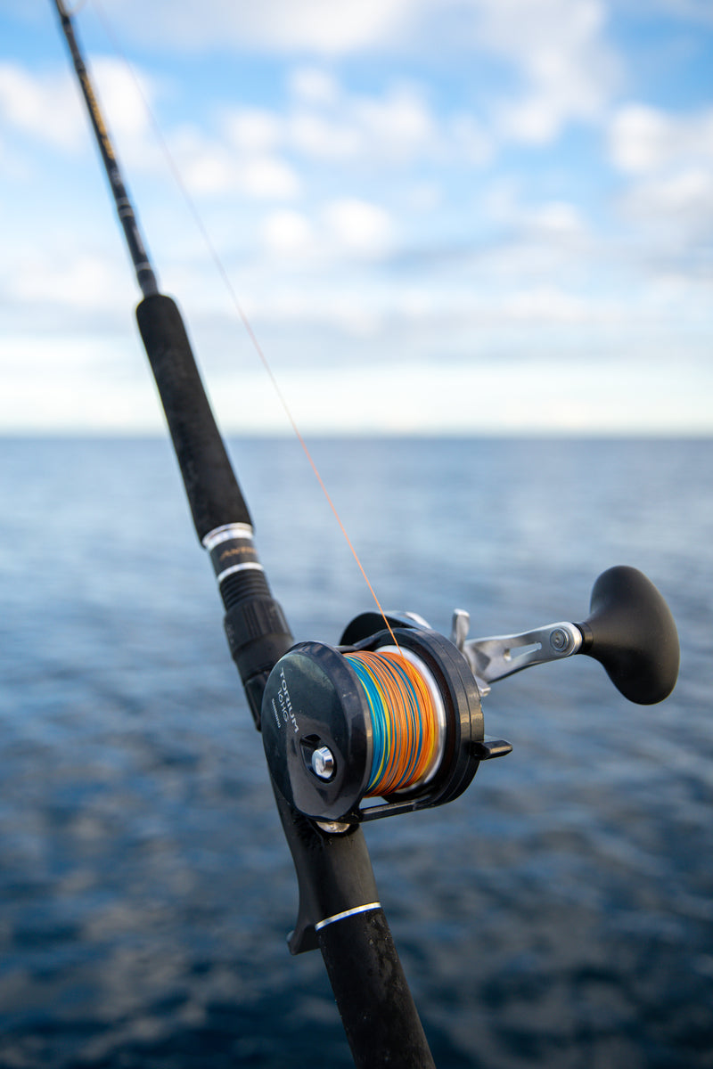 Load image into Gallery viewer, Shimano Torium
