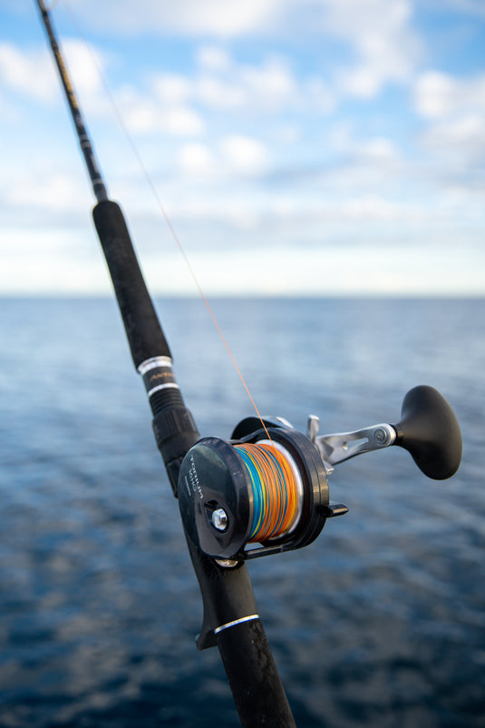 Shimano Torium