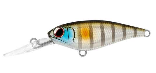 Daiwa Infeet Kodachi