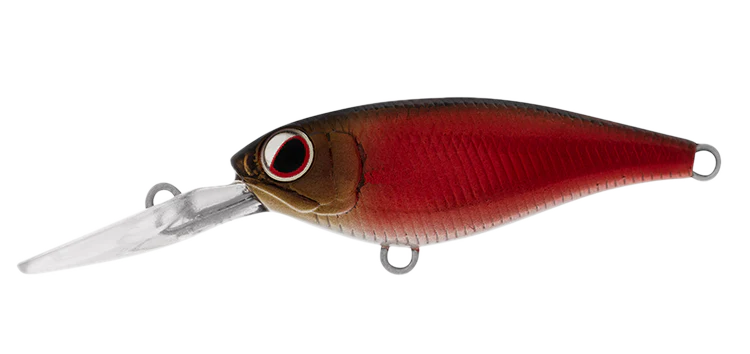 Load image into Gallery viewer, Daiwa Infeet Kodachi
