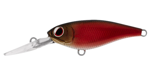 Daiwa Infeet Kodachi