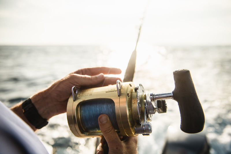 Load image into Gallery viewer, Shimano Tiagra 50WLRS A
