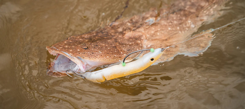 Load image into Gallery viewer, Daiwa Bait Junkie 10" Gar
