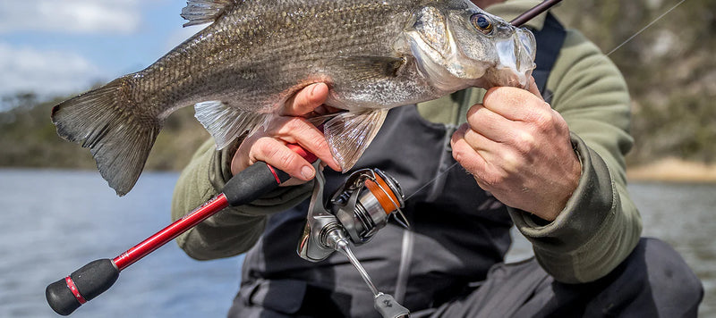 Load image into Gallery viewer, Daiwa 23 Exceler
