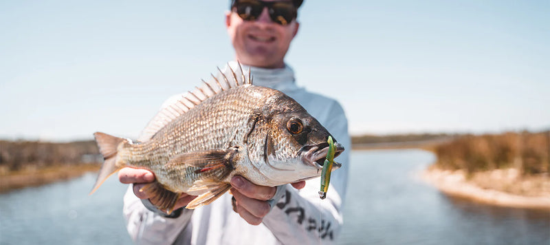 Load image into Gallery viewer, Daiwa Bait Junkie 3" Wave Minnow
