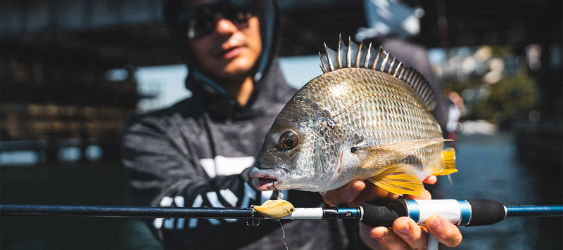 Load image into Gallery viewer, Daiwa Infeet Reflex Vibe 38S
