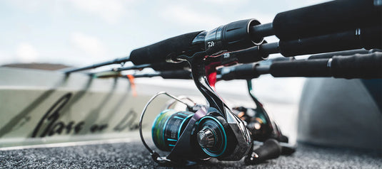 Daiwa 23 TD Black