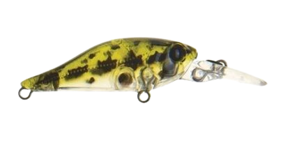Atomic Shad 40 Deep