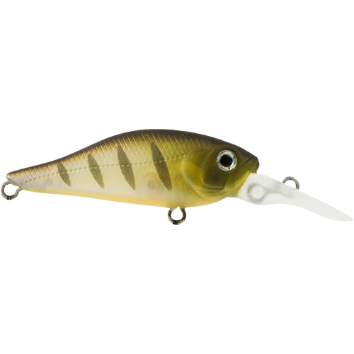 Atomic Shad 40 Deep
