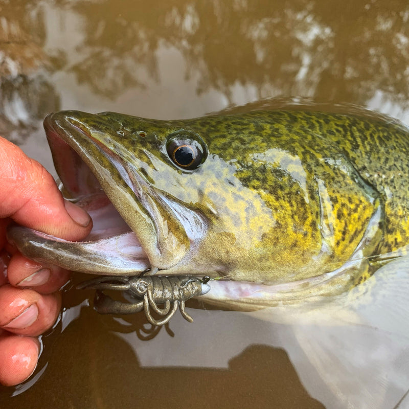 Load image into Gallery viewer, Berkley Gulp 2" Crabby
