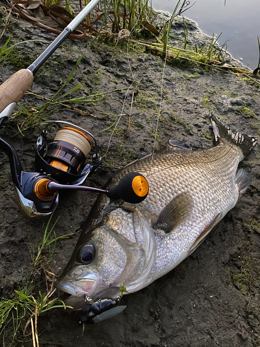 Megabass Grand Siglett