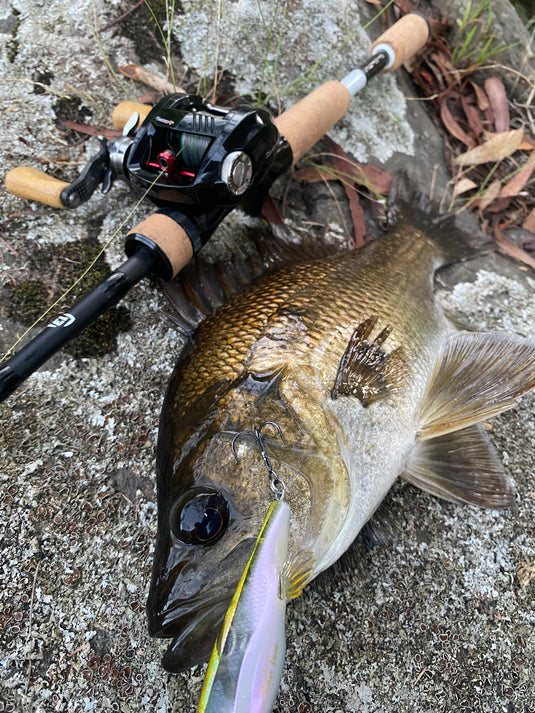 Megabass Anthrax 83mm