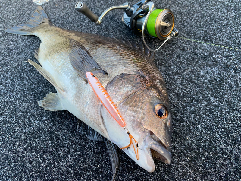 Load image into Gallery viewer, Daiwa Infeet Slippery Dog 65F TG Tune
