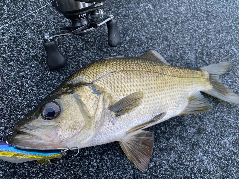 Load image into Gallery viewer, Megabass Anthrax 83mm
