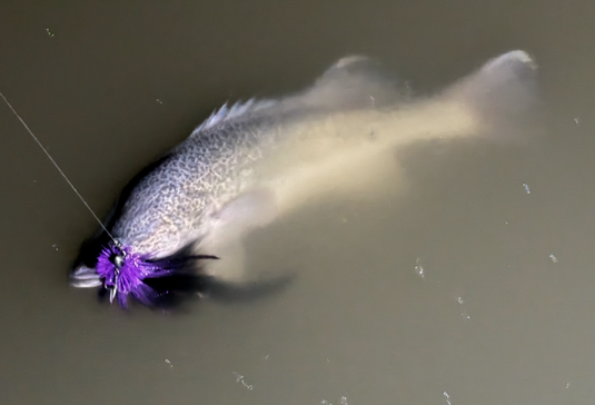 Ozzy Native Flies Cod Fly Jig - 30cm