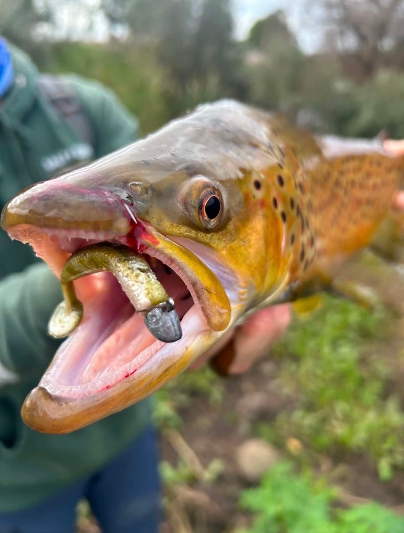 Load image into Gallery viewer, @fishing_with_oli

