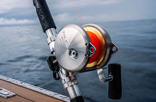 Shimano Talica