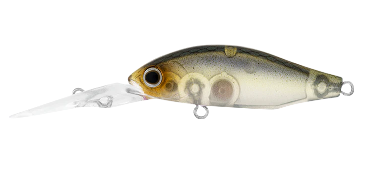 Load image into Gallery viewer, Daiwa Infeet Spike 44 MR
