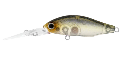 Daiwa Infeet Spike 44 MR