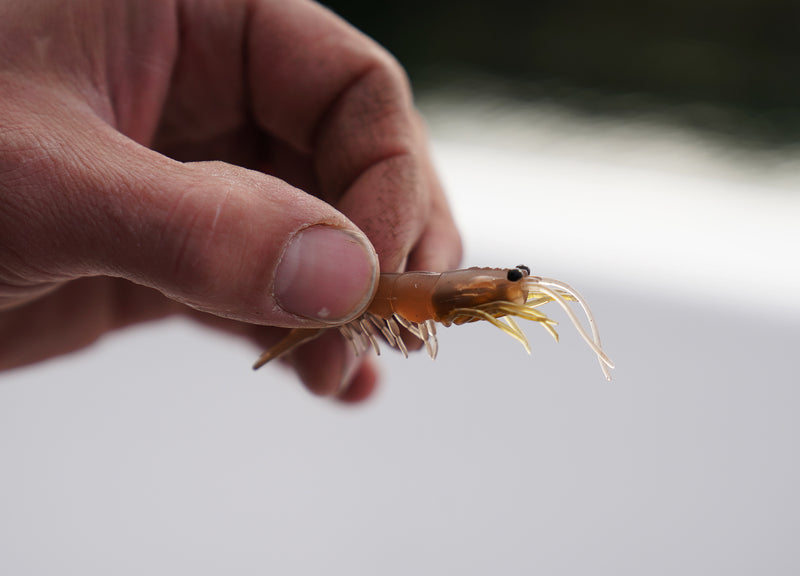 Load image into Gallery viewer, Pro Lure Clone Prawn
