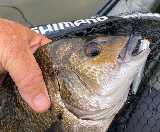 Shimano Ligen Flash Boost